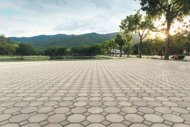 Best Local Driveway Pavers  in Milton, WI